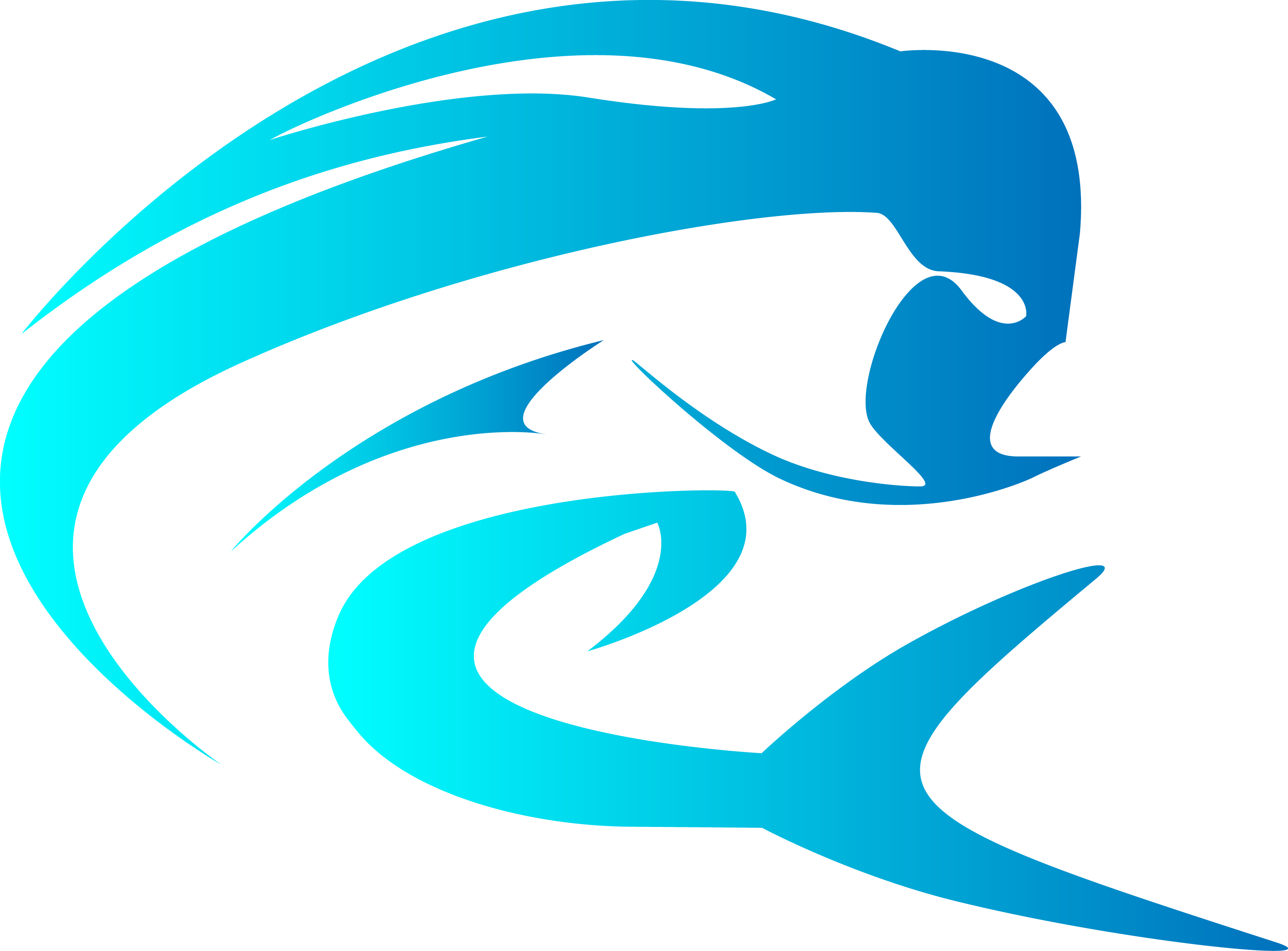 Dorado Imagery, Inc.